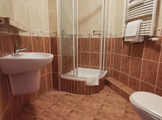 Отель Zieliniec 2*